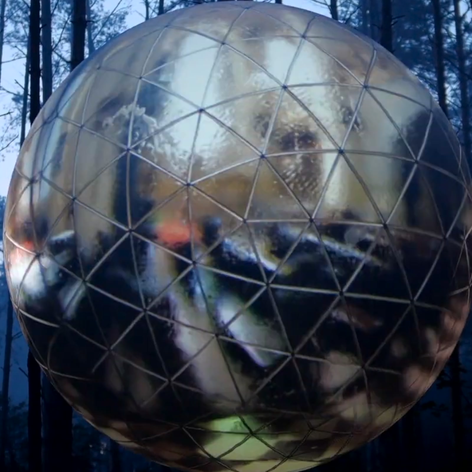 A large sphere standing among trees, covered in a concentric blue projection mapping at Garbicz Festival